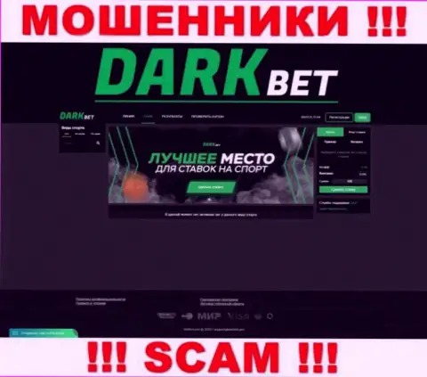 Липовая информация от махинаторов Дарк Бет на их официальном web-сервисе DarkBet Pro