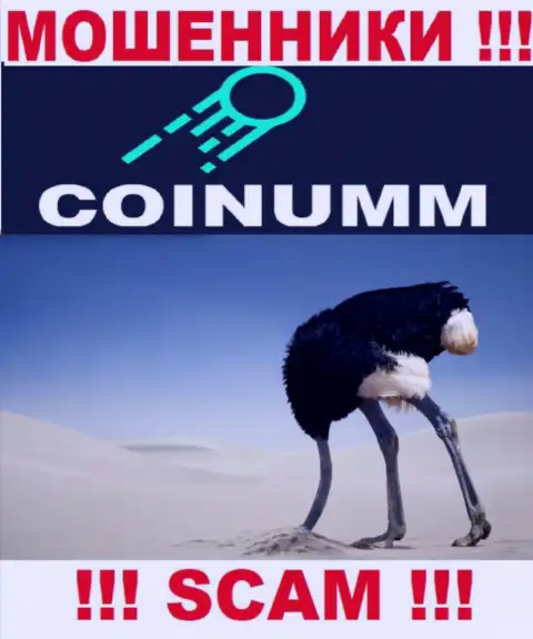 Компания Коинумм не имеет регулятора и лицензии на осуществление деятельности