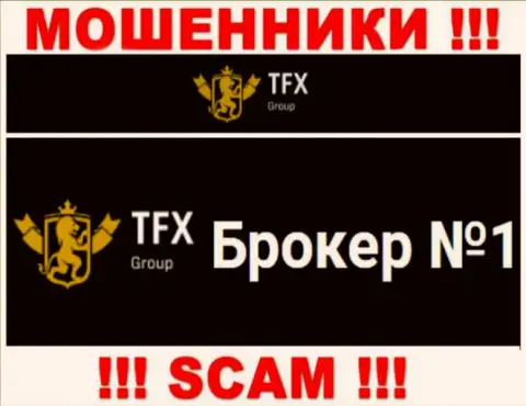 Не советуем доверять финансовые активы TFX FINANCE GROUP LTD, так как их направление деятельности, FOREX, капкан