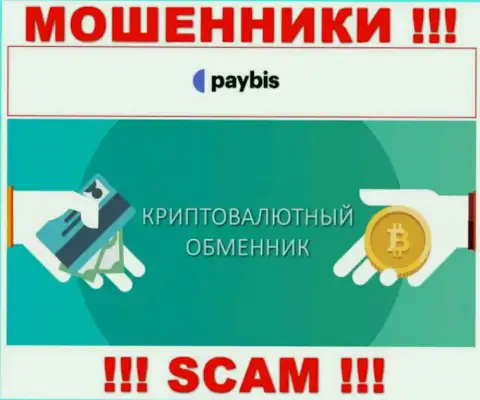 Крипто обменник - тип деятельности мошеннической конторы PayBis