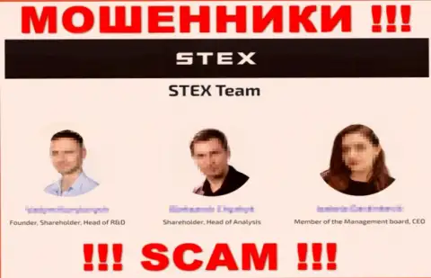 Кто точно управляет Stex неизвестно, на сайте кидал предложены ложные сведения