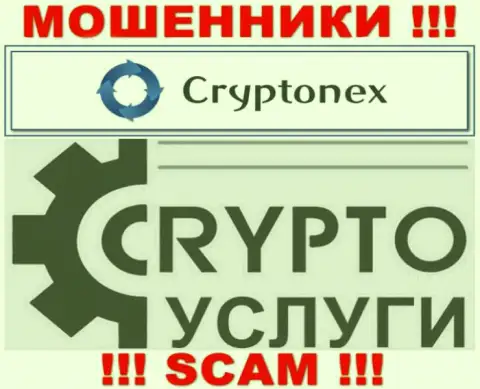 Взаимодействуя с CryptoNex, сфера работы которых Криптовалютные услуги, рискуете лишиться денежных вложений