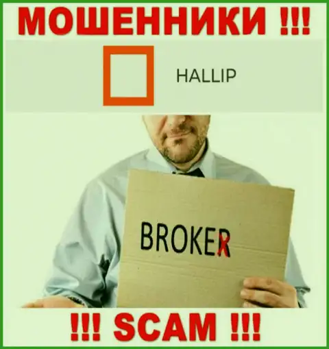 Вид деятельности internet-мошенников Hallip Com - это Broker, однако помните это развод !!!
