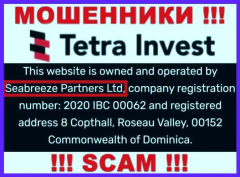 Юридическим лицом, владеющим интернет-ворами Тетра-Инвест Ко, является Seabreeze Partners Ltd