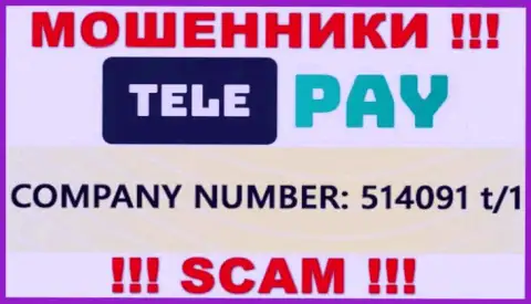 Номер регистрации ТелеПэй, который представлен обманщиками у них на веб-портале: 514091 t/1