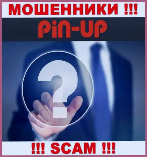 Не работайте с интернет-мошенниками PinUpCasino - нет информации об их руководителях