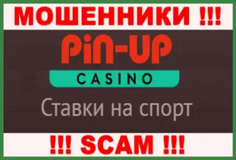 Основная деятельность Pin-Up Casino - это Казино, осторожно, прокручивают делишки противозаконно