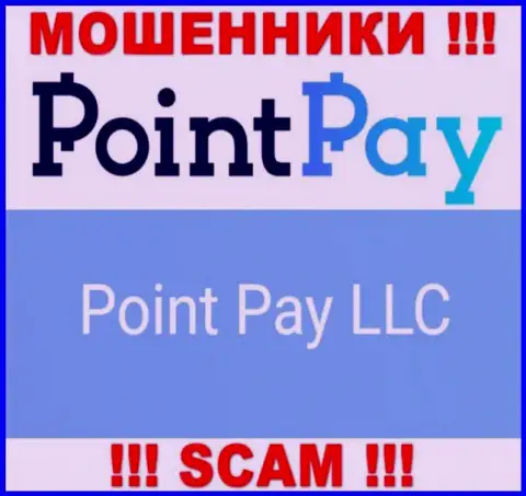 Юридическое лицо мошенников Поинт Пэй ЛЛК - это Point Pay LLC, данные с онлайн-сервиса махинаторов