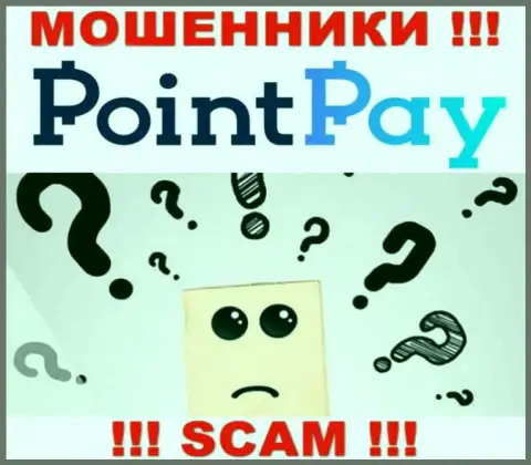 Во всемирной internet сети нет ни единого упоминания о непосредственных руководителях разводил Point Pay LLC
