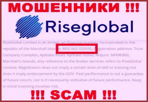 Регистрационный номер Rise Global, который мошенники показали на своей интернет странице: 103595