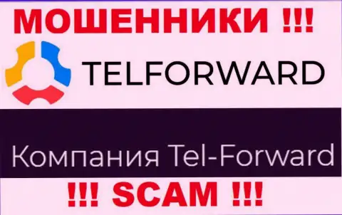 Юр. лицо TelForward - это Тел-Форвард, такую инфу показали мошенники на своем веб-сайте