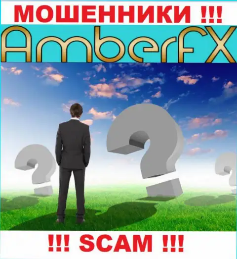 Желаете узнать, кто конкретно руководит организацией Amber FX ??? Не выйдет, такой информации найти не получилось