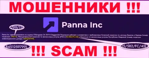Жулики Панна Инк активно кидают своих клиентов, хоть и представляют свою лицензию на интернет-ресурсе