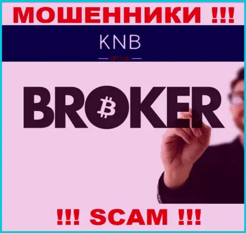 Брокер - именно в данном направлении оказывают свои услуги internet-мошенники KNB Group