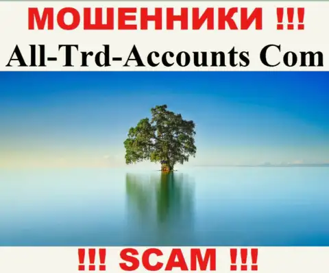 All Trd Accounts сливают средства и остаются без наказания - они спрятали инфу об юрисдикции