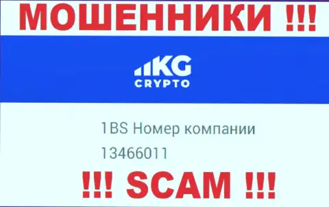 Регистрационный номер конторы CryptoKG, Inc, в которую денежные средства советуем не отправлять: 13466011