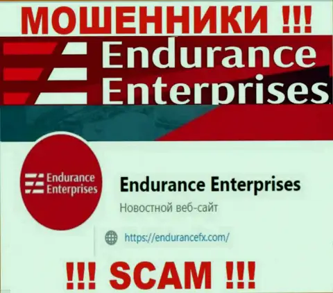Установить контакт с internet-мошенниками из организации EnduranceEnterprises Вы можете, если напишите сообщение им на е-майл