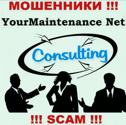 Работая совместно с YourMaintenance Net, область деятельности которых Консалтинг, рискуете остаться без денежных активов