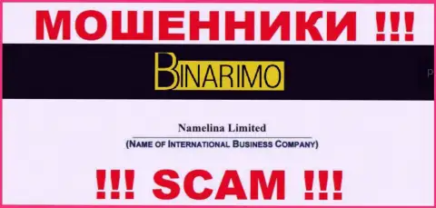 Юридическим лицом Бинаримо является - Namelina Limited