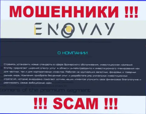 Так как деятельность internet мошенников EnoVay Com - это обман, лучше будет сотрудничества с ними избегать