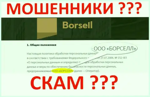 ООО БОРСЕЛЛ - это компания, которая управляет мошенниками Borsell