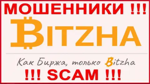 Bitzha - это МОШЕННИКИ !!! Денежные вложения выводить не хотят !!!