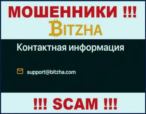 E-mail мошенников Битза24, информация с официального сайта