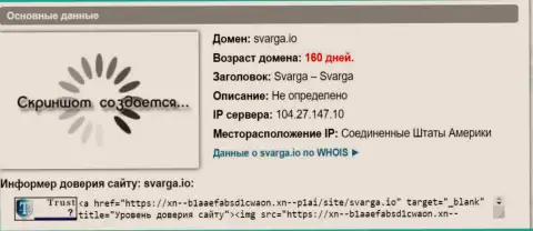 Возраст доменного имени брокера Svarga IO, исходя из справочной инфы, которая получена на интернет-ресурсе довериевсети рф